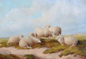 Moutons